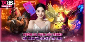 Trường gà Savan